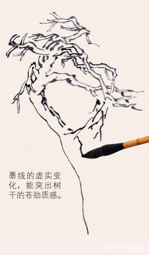 工笔松树简单画法步骤,松树的画法和技巧视频