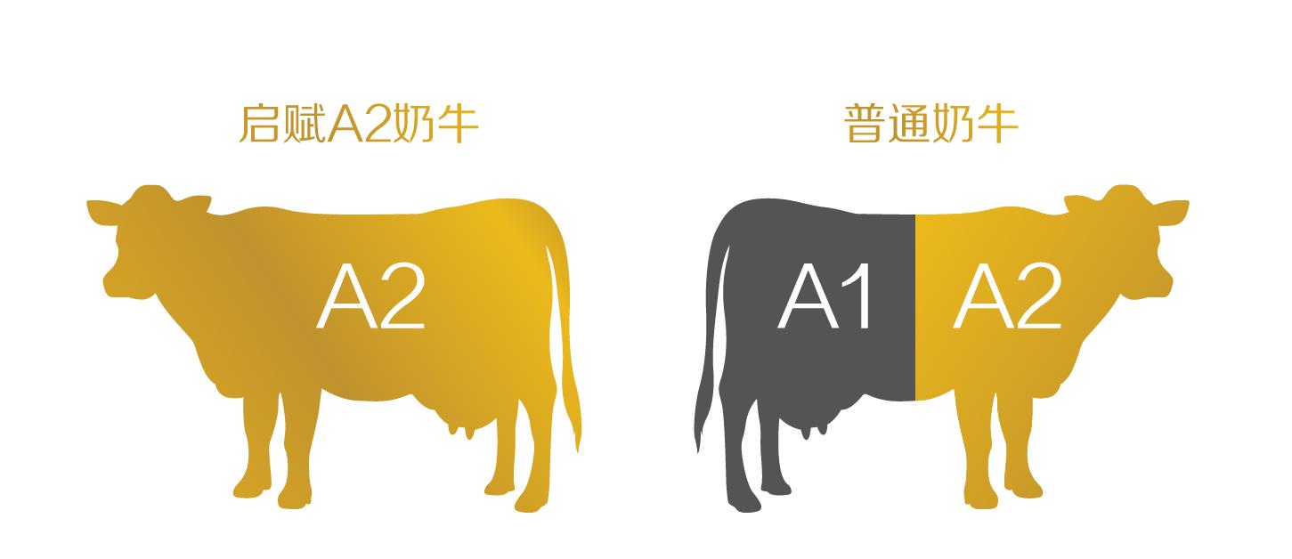 a2奶粉有opo吗,a2β酪蛋白奶粉