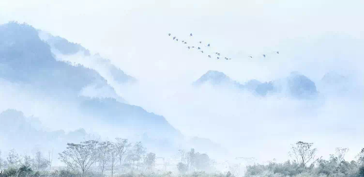 陈履安探讨觉性科学,陈履安谈佛教与科学