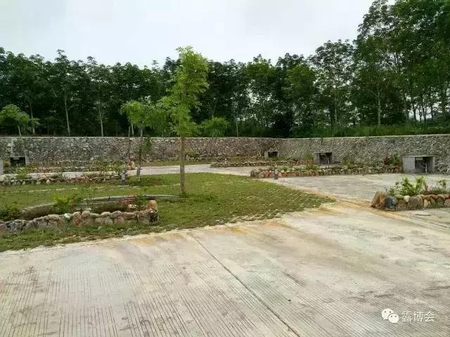 呦喂，老司机们！2018最新最全的海南营地数据更新啦……