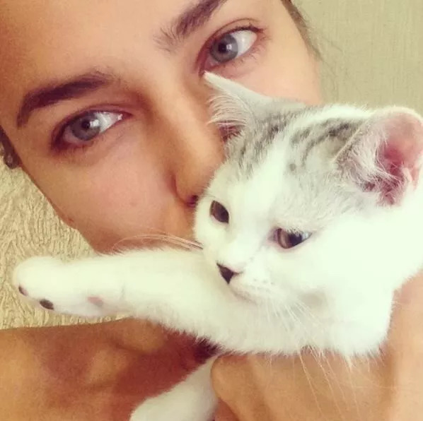 维密超模猫咪,维密秀猫咪