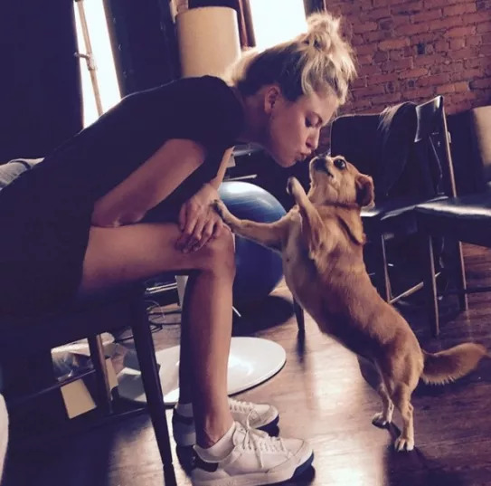 维密超模猫咪,维密秀猫咪