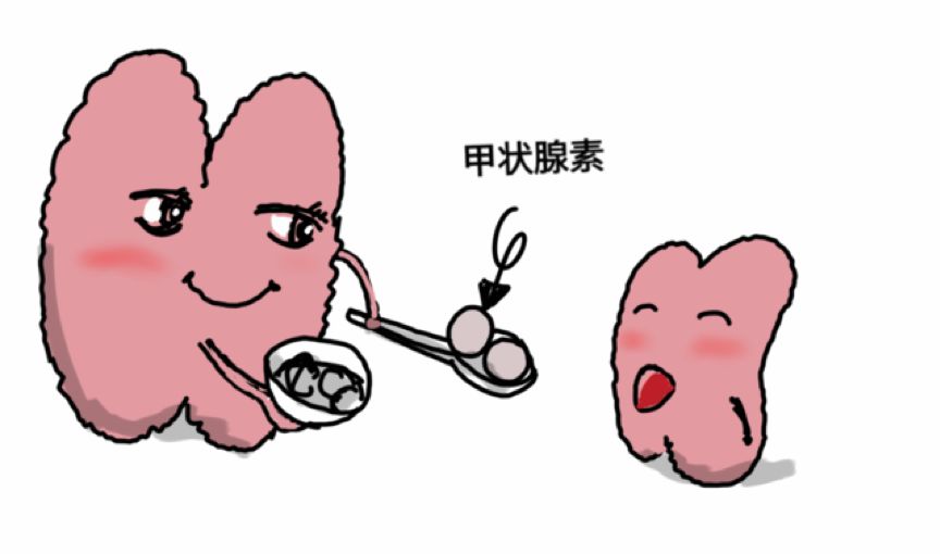 妈妈甲状腺影响孩子精神发育迟滞,妈妈甲状腺对孩子影响