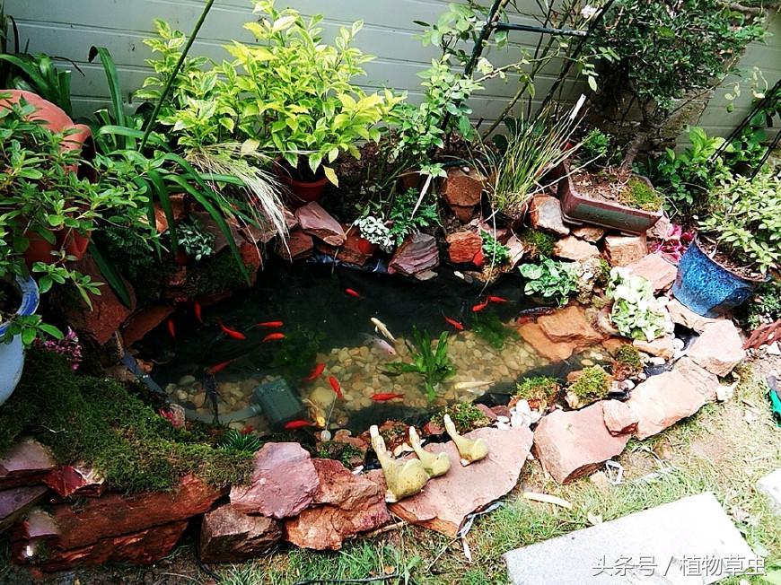 庭院景观鱼塘建造,庭院简单小鱼塘建造