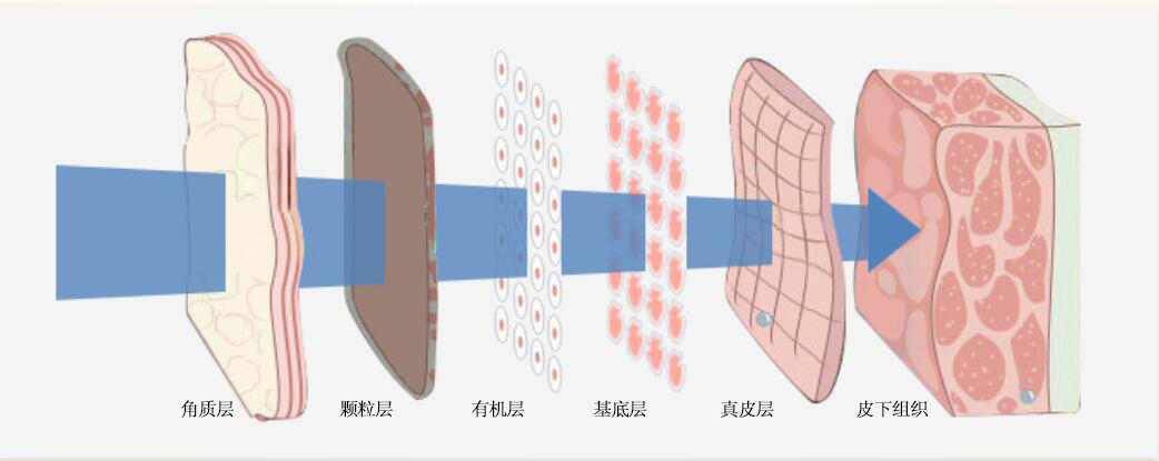 *干粉冻**为什么备受女性喜爱？因为清痘、清斑肉眼可见！