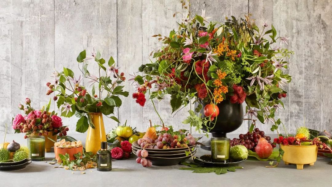 前沿丨世界上那些超美的创意小花店