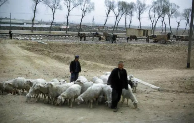 FUN｜美国人拍摄1972年唐山