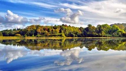 如何提高作文写作能力小学,小学作文写作方法与技巧视频教学