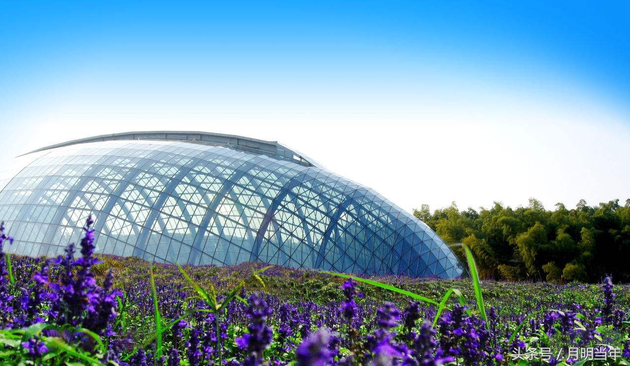 洪湖悦兮半岛温泉票价,洪湖悦兮半岛温泉今天的天气