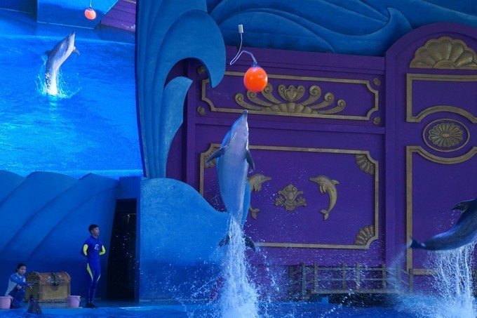 米米乐全部视频,东阳市横店米乐