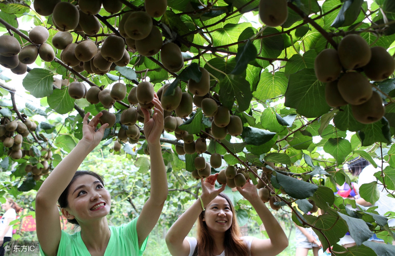 农村生意不起眼的商机,农村小两口创业