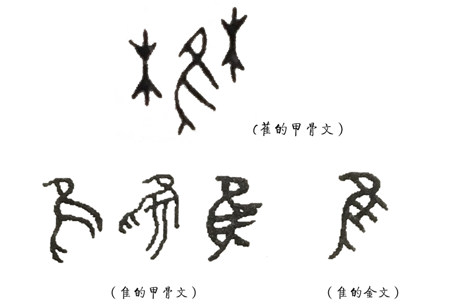 《说文解字》第53课:“茥”这个字,原来指这种适合男人吃的水果