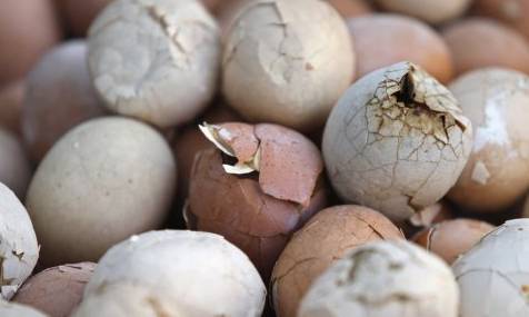 鸡蛋虽好但这7种蛋最好别吃,吃蛋有什么坏处