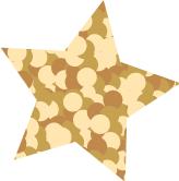 尼泊尔SKR什么地方？