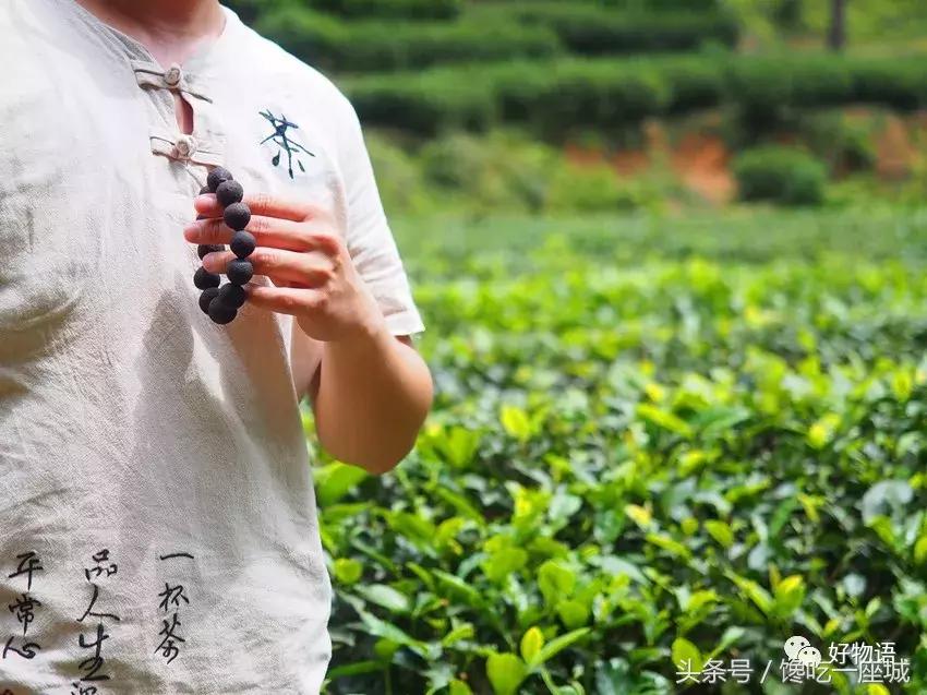 2018年“头采”小青柑，两种风味，用料豪放，一泡一颗，过瘾！