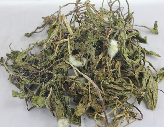 胃火不除根,胃火不降浊气上升如何调理