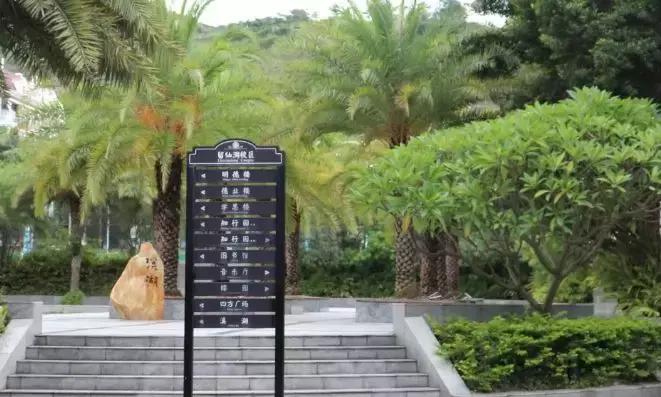 为什么深职院这么出名,深职院为什么全国第一