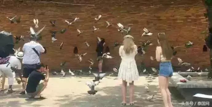 三名游客在泰国遇劫匪,一名游客在清迈迷路