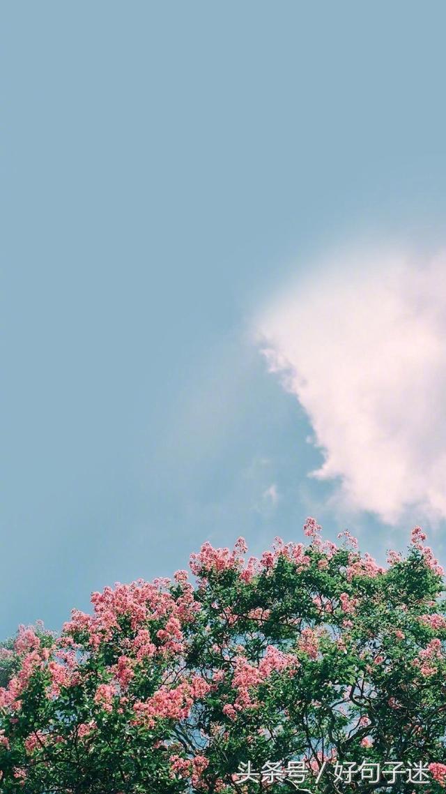 心情语录精致走心句句说到心窝上,一句话心情签名精辟走心短句