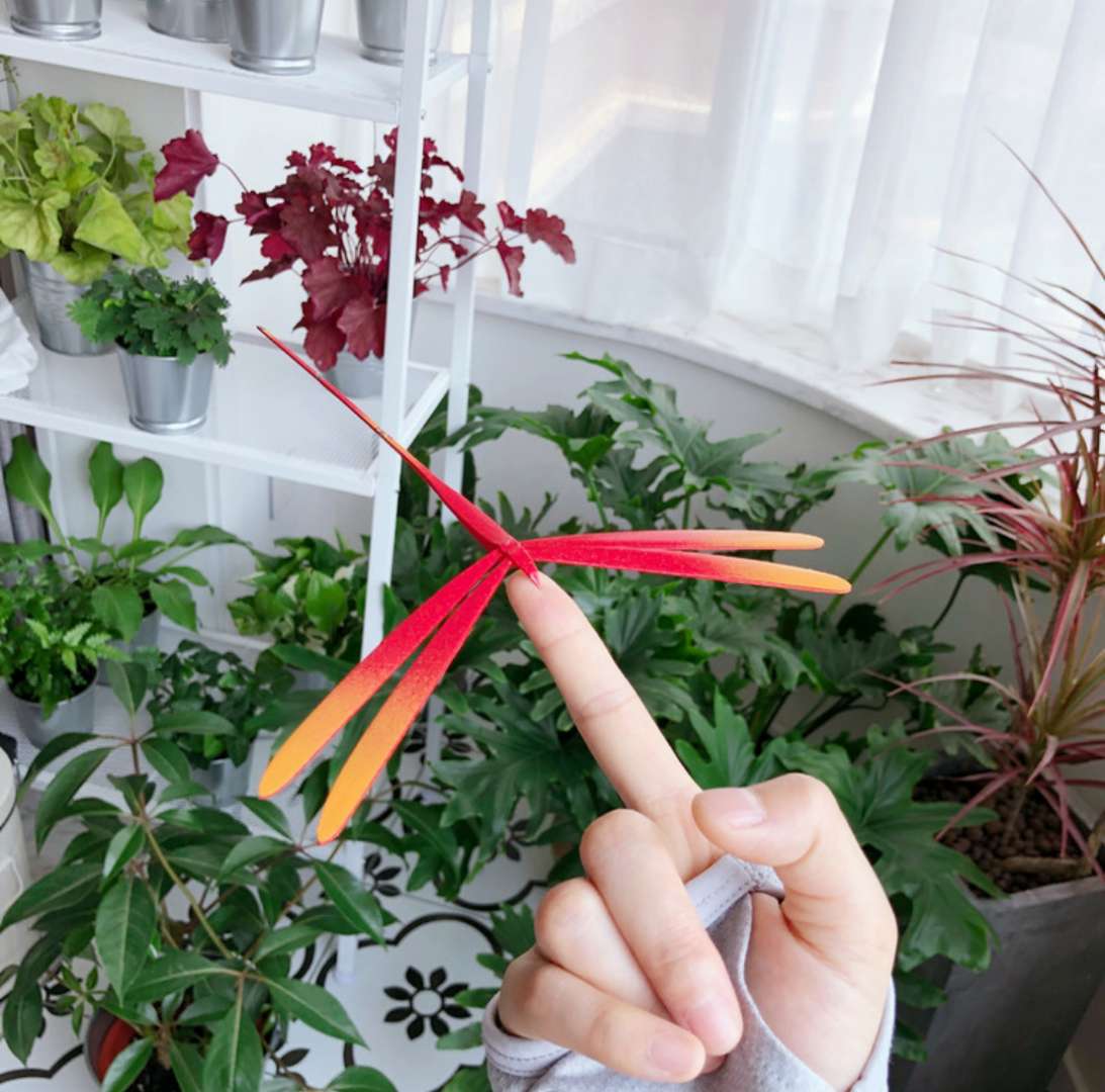 旅行达人宅家日常,90后旅行达人