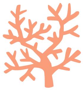 因为不关心刘强东和咪蒙，我快被这世界淘汰了