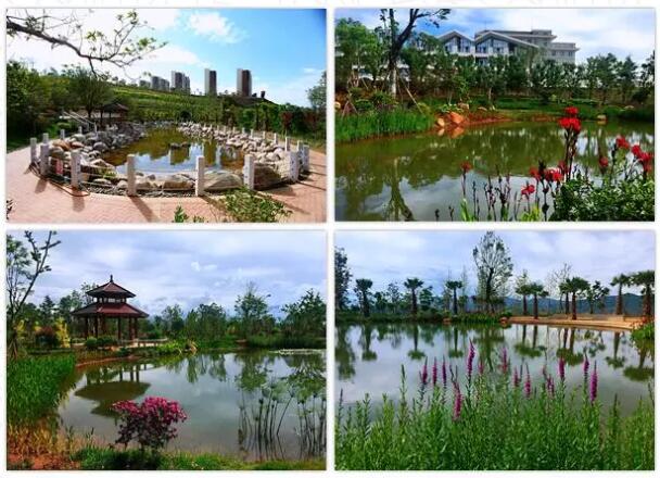 曾经的海东你还记得吗？“灭荒”进行时，现在的海东怎么样了？