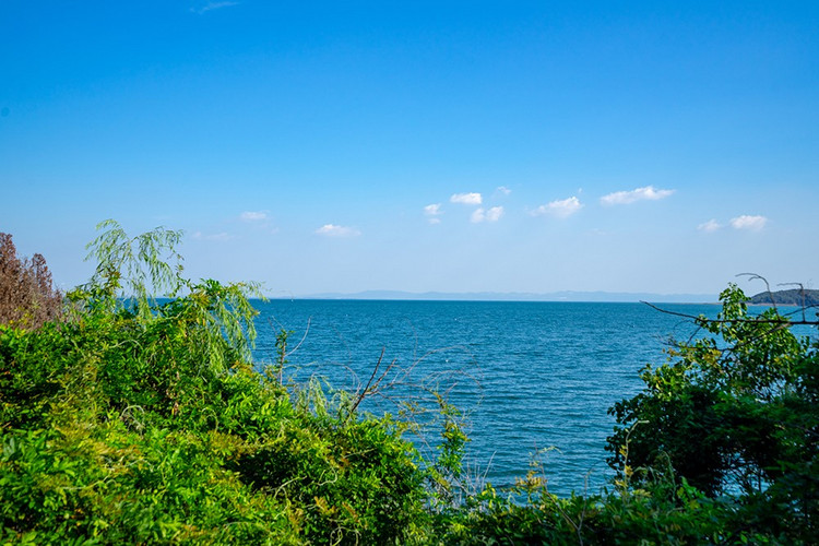 探寻自然与历史的魅力,走进大自然了解历史人文