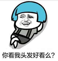 拯救脱发只需这三步,拯救脱发通关