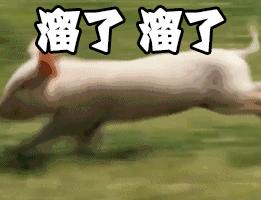 电子商务法中对代购是如何规定的,中国电子商务立法