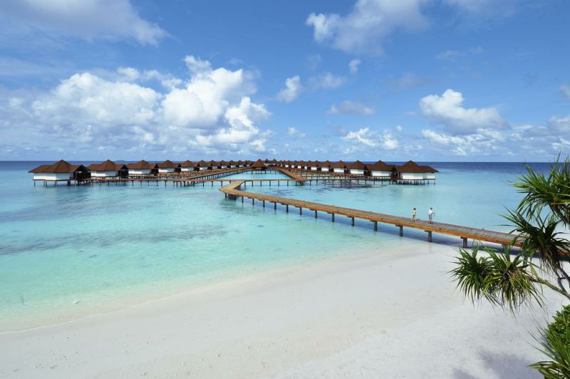 马尔代夫最强选岛攻略！摇旗呐喊一定要看！