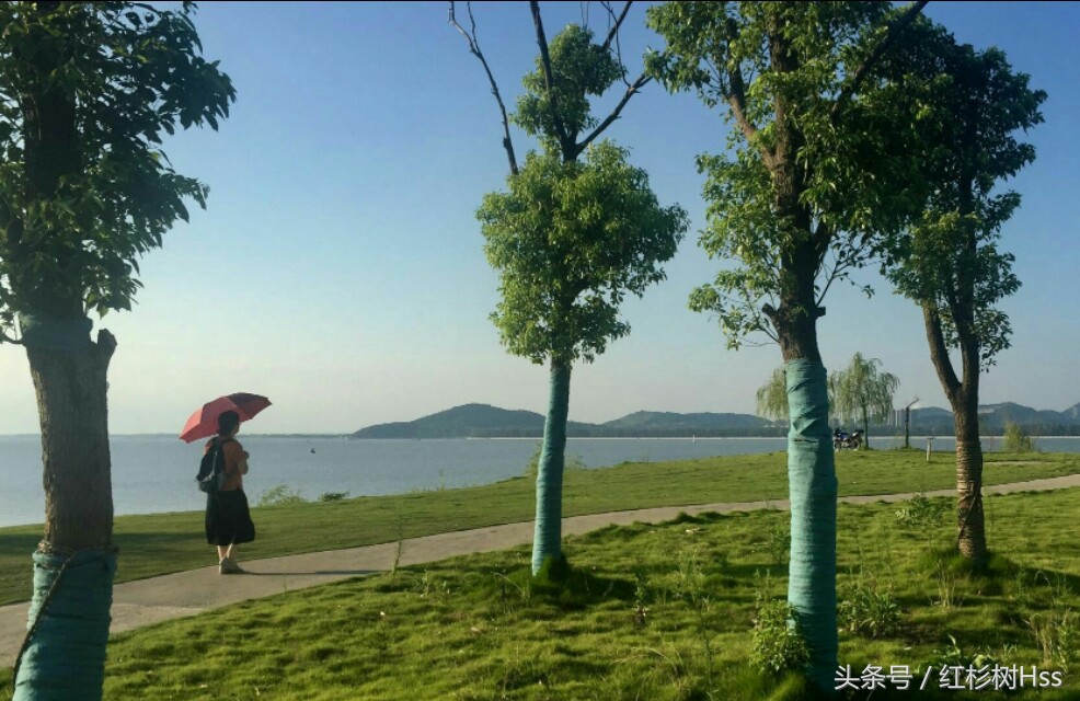 老师你们辛苦了图片,老师你们辛苦了原版