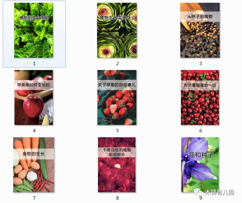 steam教育理念在教学中的如何应用,steam教育理念的教学项目案例