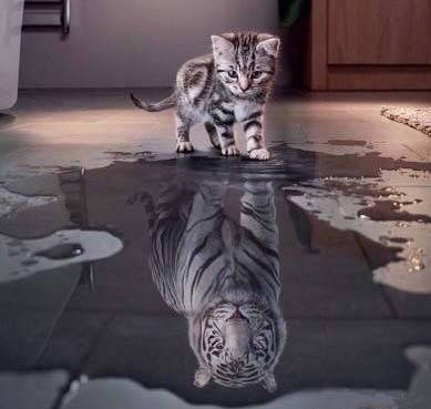 社恐不想与陌生的人接触,社恐的人如何不被孤立