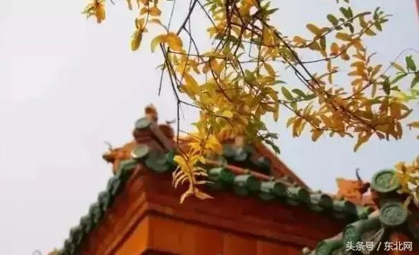 北京秋天一定要看的美景,北京秋天到处都是天堂般的美