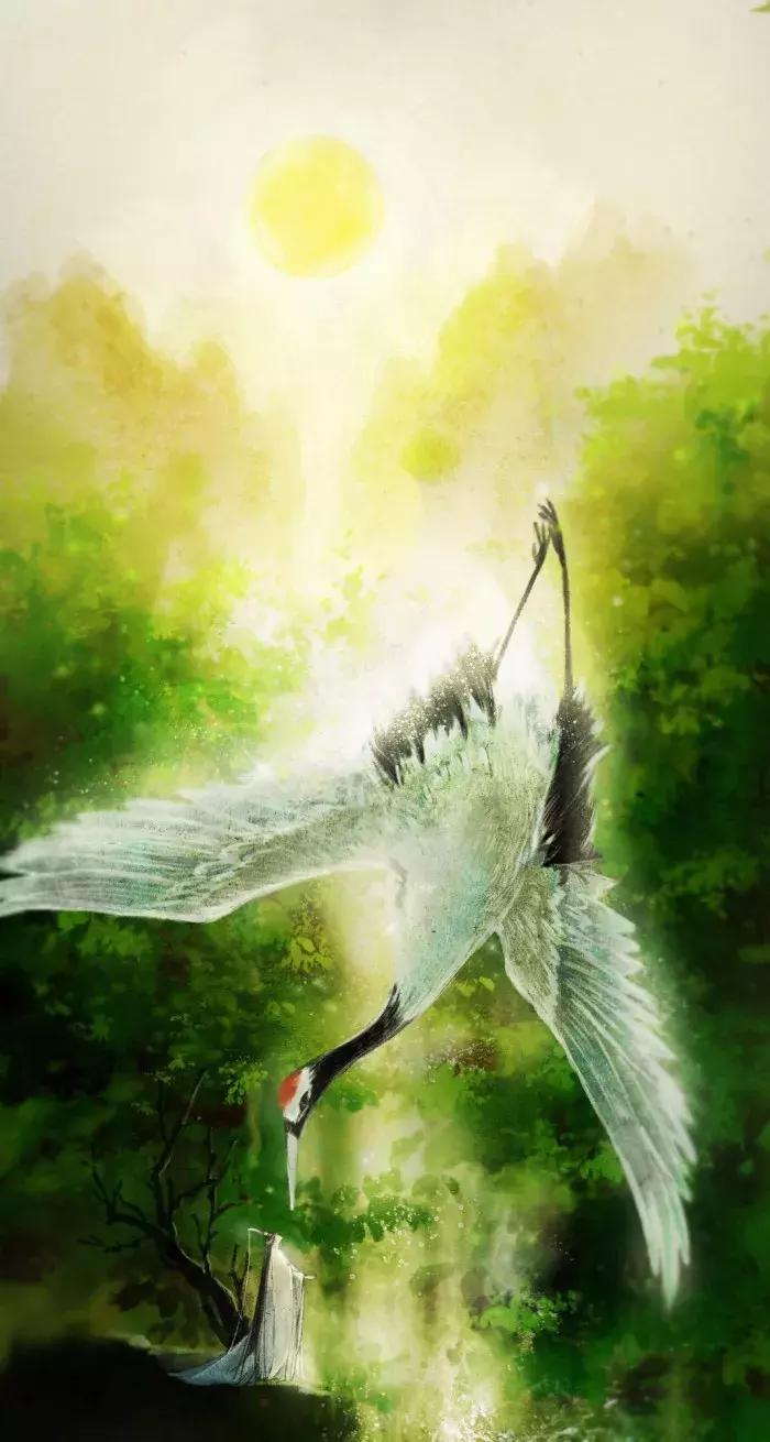 你几月出生就是什么命太准了,2022年虎宝宝几月出生最好最准