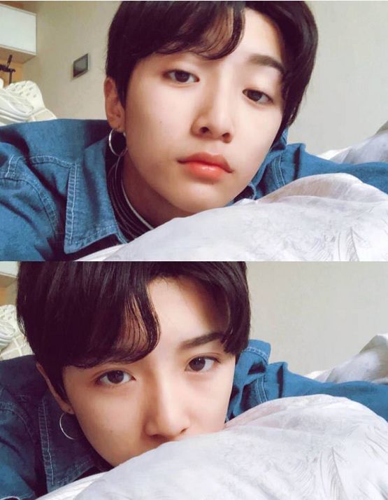 嘉媚乐提升紧致精油,嘉媚乐淡斑精油