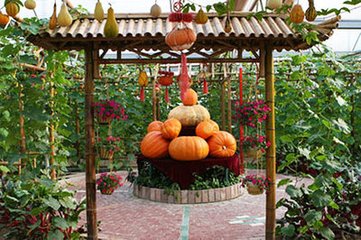 武汉春游一日游攻略,武汉最强春游攻略在此