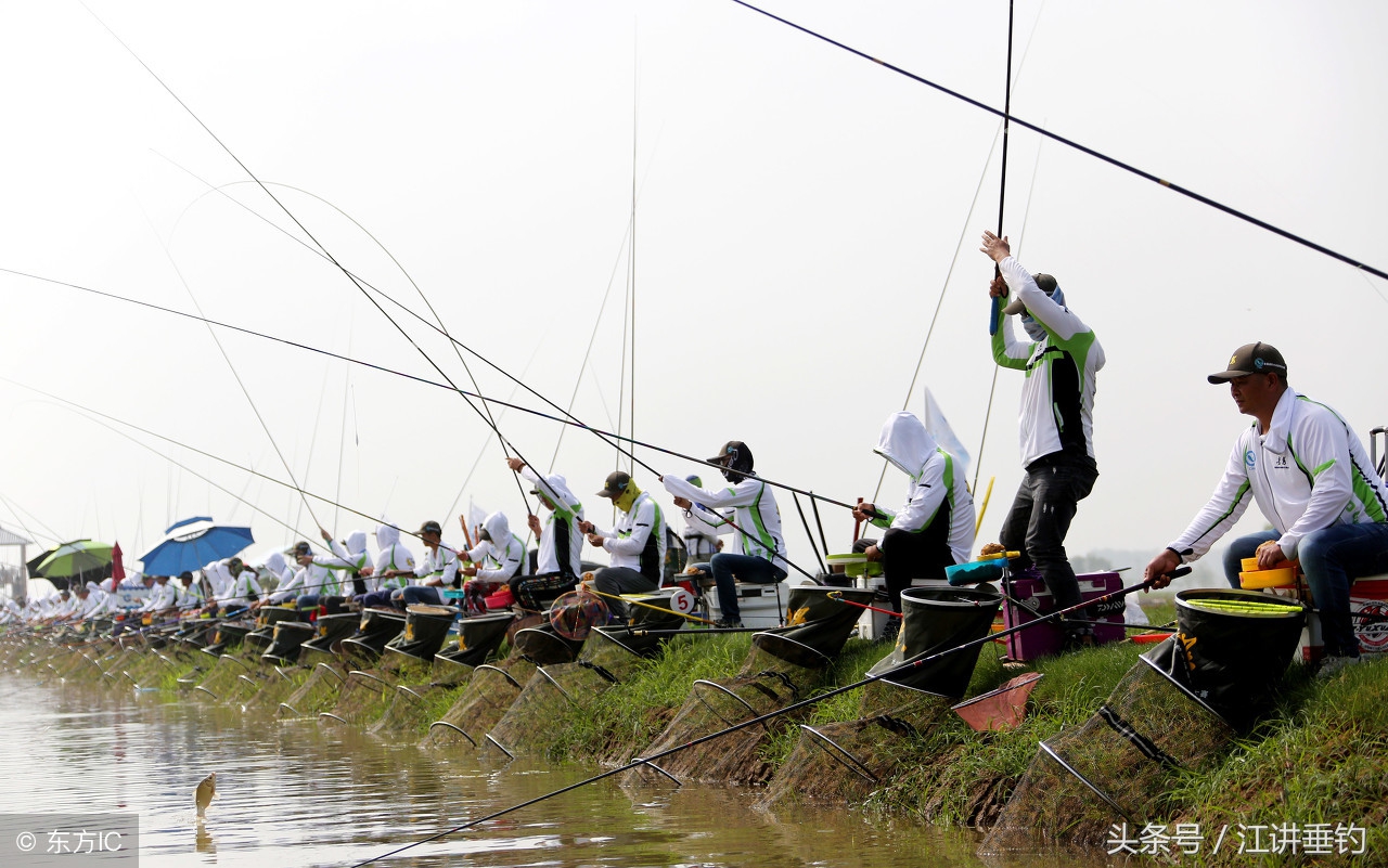 台钓术语大全介绍,台钓为什么在中国受欢迎