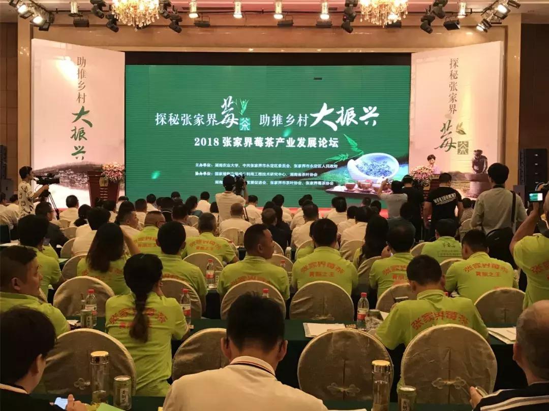 张家界莓茶将亮相茶博会,张家界莓茶文化节新闻发布会