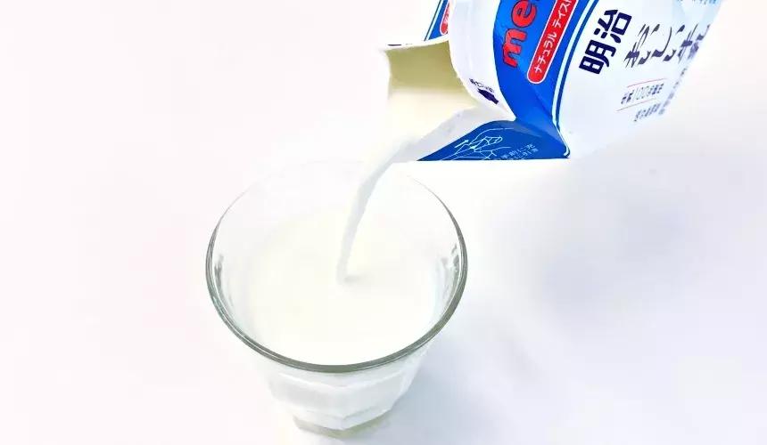 日本便利店牛奶推荐,便利店好喝的牛奶推荐