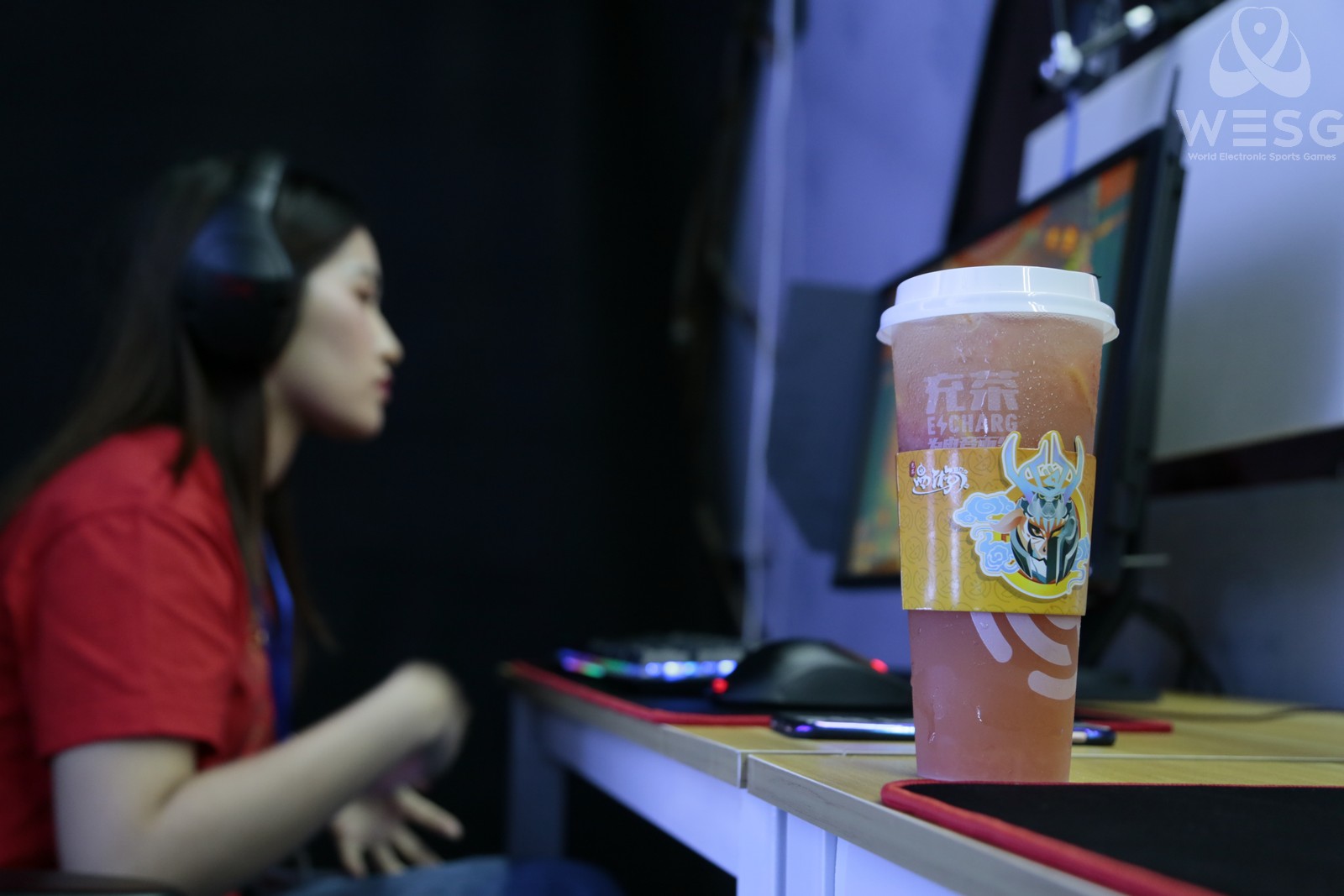 wesg全球总决赛,wesg广东站决赛