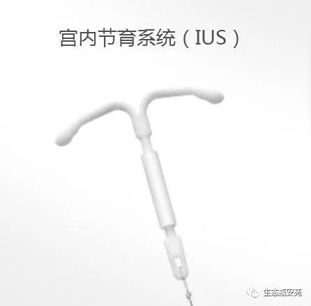 世界避孕日是几月几日,世界避孕日历年主题