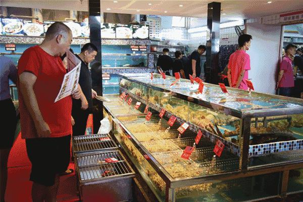 一千斤巨型龙虾,18斤巨型龙虾