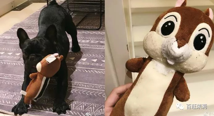 玻尿酸网红殴打孕妇，还请水军洗白？这年头法盲都那么嚣张了吗