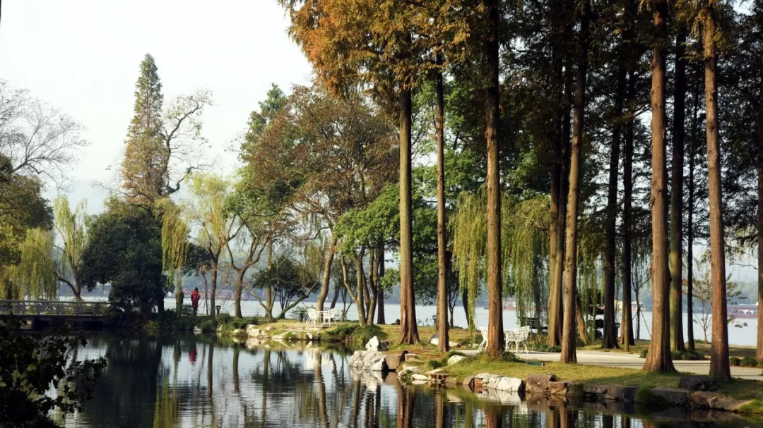 杭州西湖西子宾馆地址,杭州西子宾馆位置图