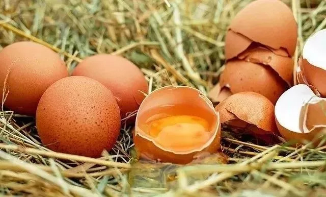 5种菜既伤肝伤肾还致癌,饮食健康不能吃哪些食物