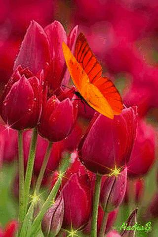 会动的视觉图片14张,会动的图片21张太美了