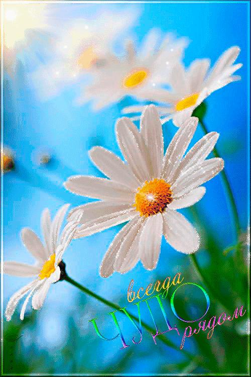 会动的视觉图片14张,会动的图片21张太美了