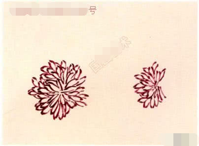 写意菊花画法笔法清晰一看就会,写意菊花的画法步骤图