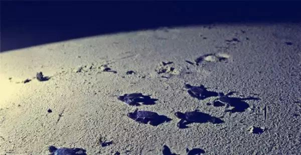 马来西亚十大迷人岛,马来西亚十大迷人海岛